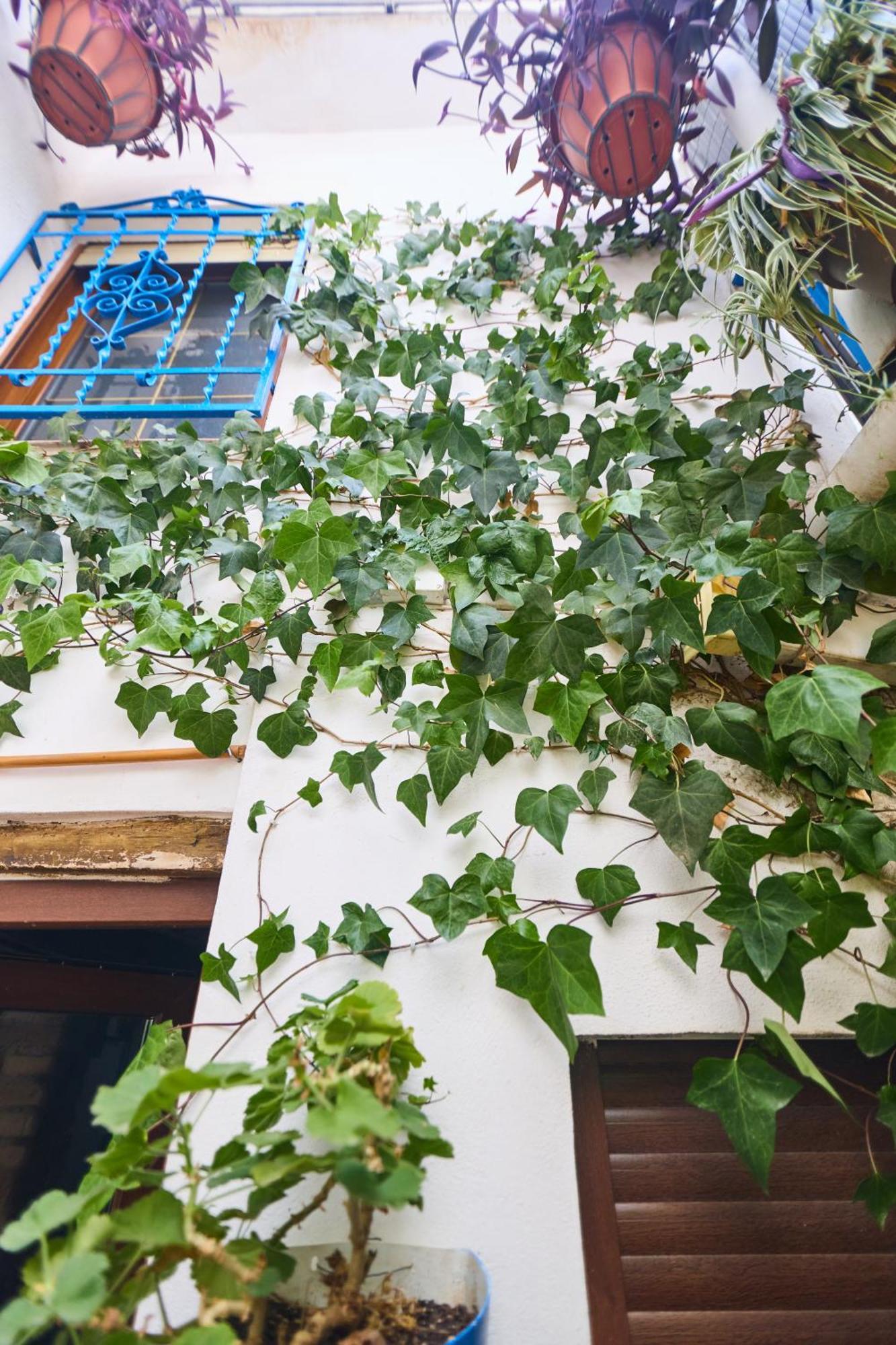 Casa El "Tablao De Las Almendras" Гранада Экстерьер фото